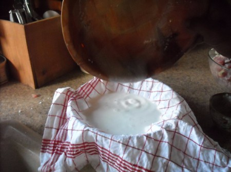 Making Fresh Coconut Milk