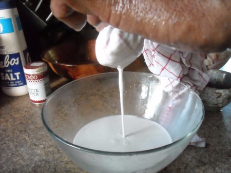Making Fresh Coconut Milk