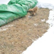 Use Tarp to Keep Snowy Grass Clear