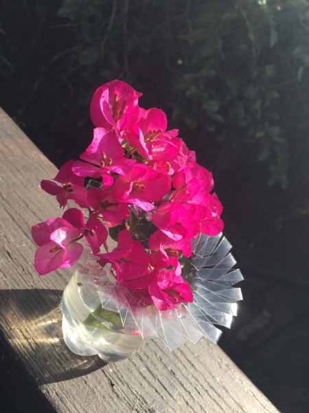 Plastic Bottle Starburst Vase