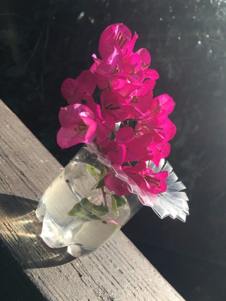 Plastic Bottle Starburst Vase