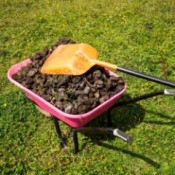 wheelbarrow of horse manure