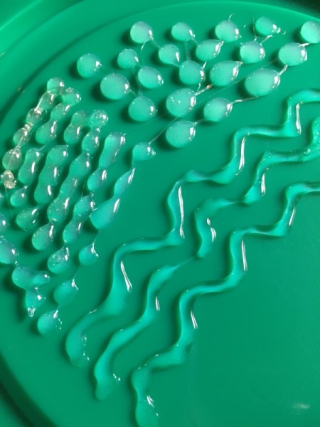 DIY Brush Cleansing Palette