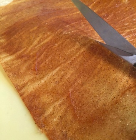 Cinnamon Apple Fruit Roll-Ups