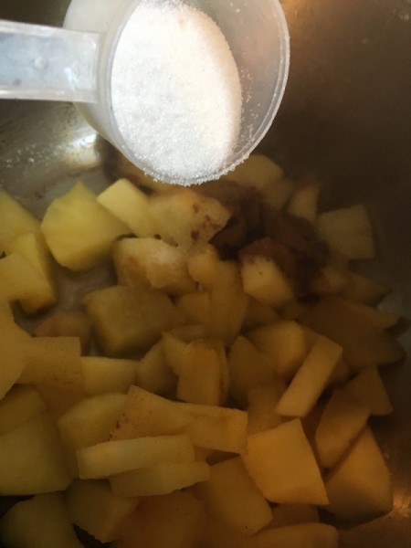 Cinnamon Apple Fruit Roll-Ups