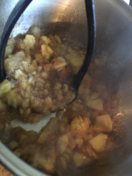 Cinnamon Apple Fruit Roll-Ups