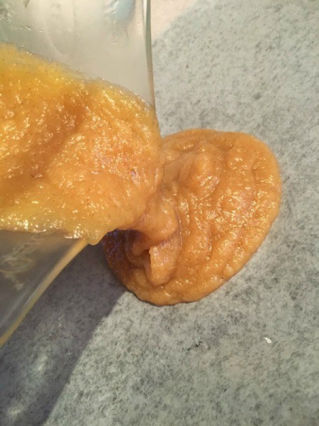 Cinnamon Apple Fruit Roll-Ups