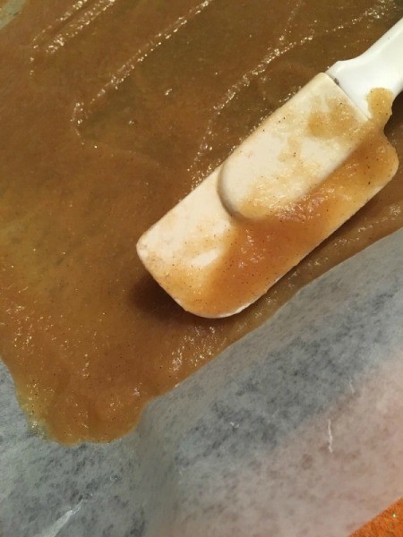 Cinnamon Apple Fruit Roll-Ups