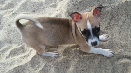 Monchi in the sand
