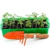 A photo of seedlings in a germinating tray with garden tools.