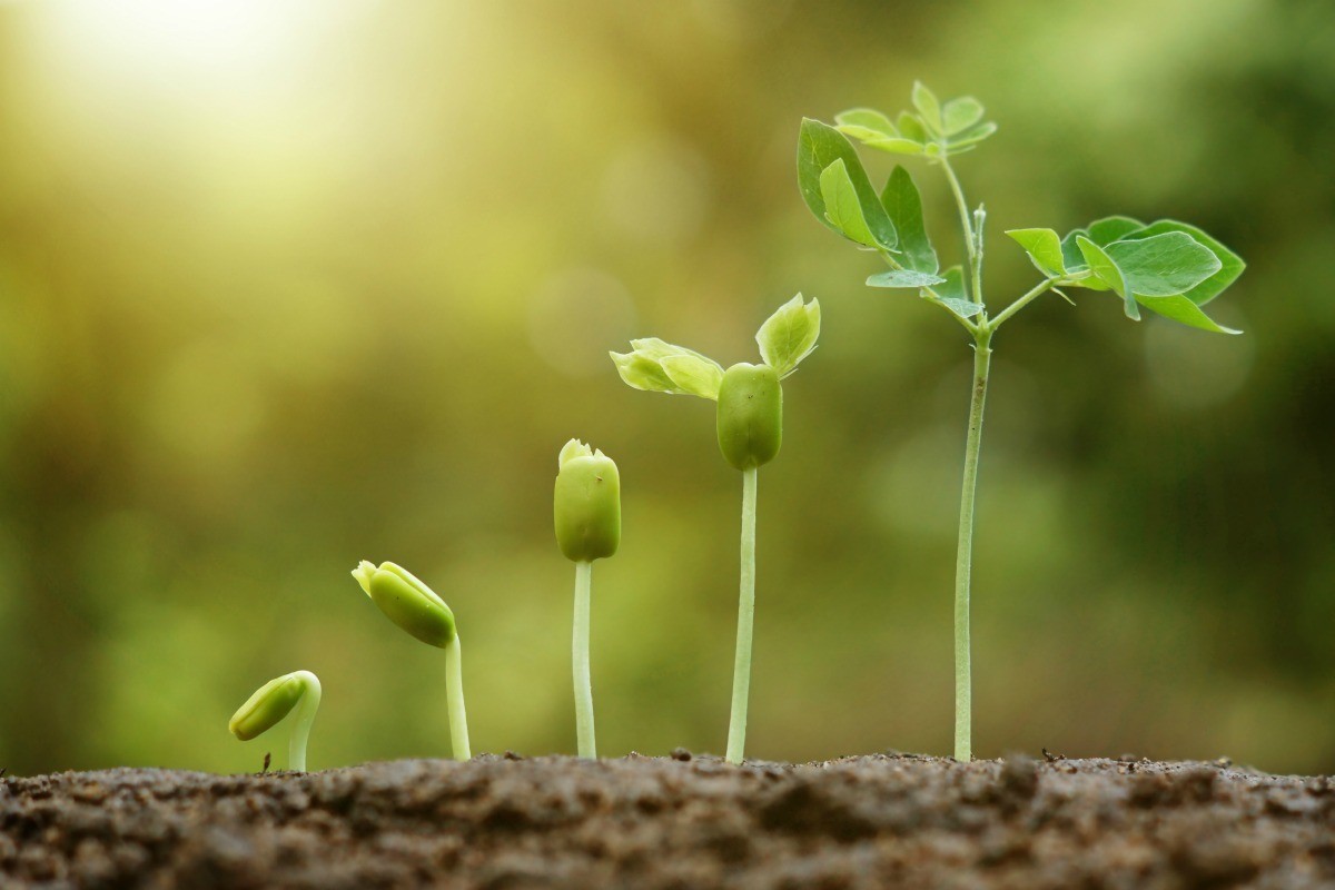 kids-planting-seeds