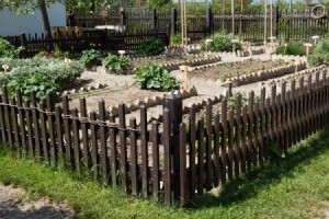 Fencing Your Vegetable Garden | ThriftyFun