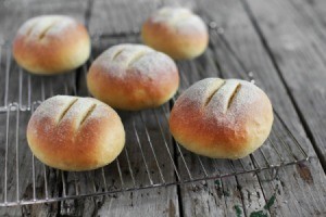 Cornmeal Roll Recipes