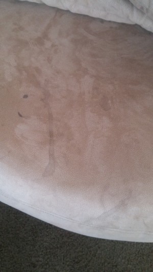 spots and stains on couch