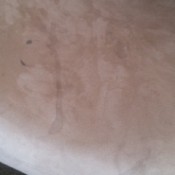 spots and stains on couch