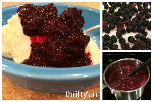 Blackberries Sauce Recipe