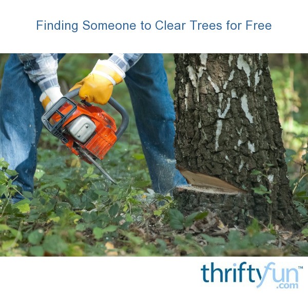 Finding Someone to Clear Trees for Free? ThriftyFun