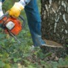 Close-up of orange chainsaw cutting down a tree