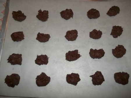 Organic Coconut Oil Chocolates