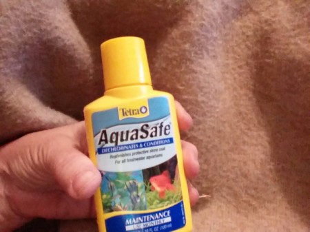 Plastic Shoe Boxes for Beautiful Bettas