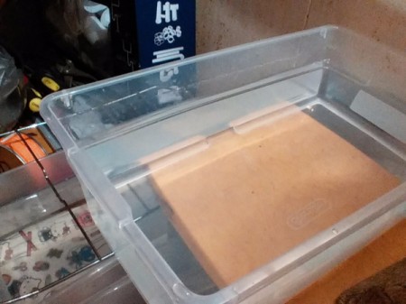 Plastic Shoe Boxes for Beautiful Bettas