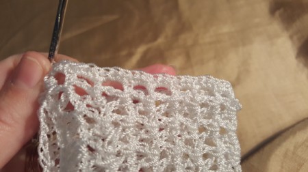 Wrist Length Lace Bridal Gloves