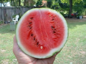 half a watermelon