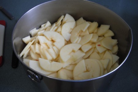 Dehydrating Apples