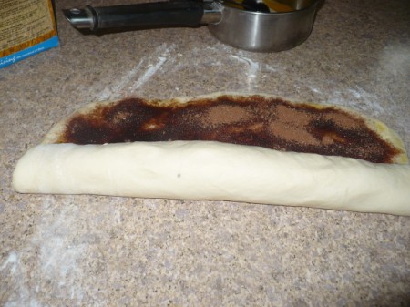 Homemade Cinnamon Rolls in One Hour