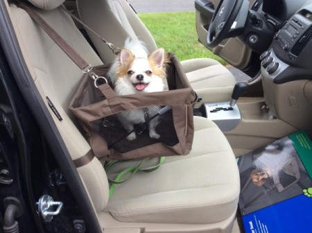 Tucker in car seat