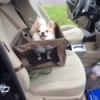 Tucker in car seat