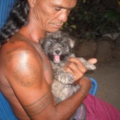 man holding Bichon Frise puppy