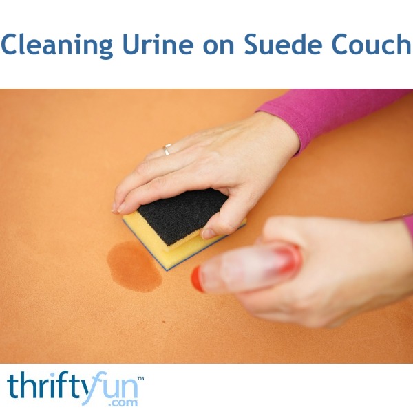 Cleaning Urine on a Suede Couch | ThriftyFun