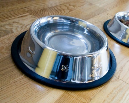 Close up image of dog's water dish on wood plank vinyl flooring