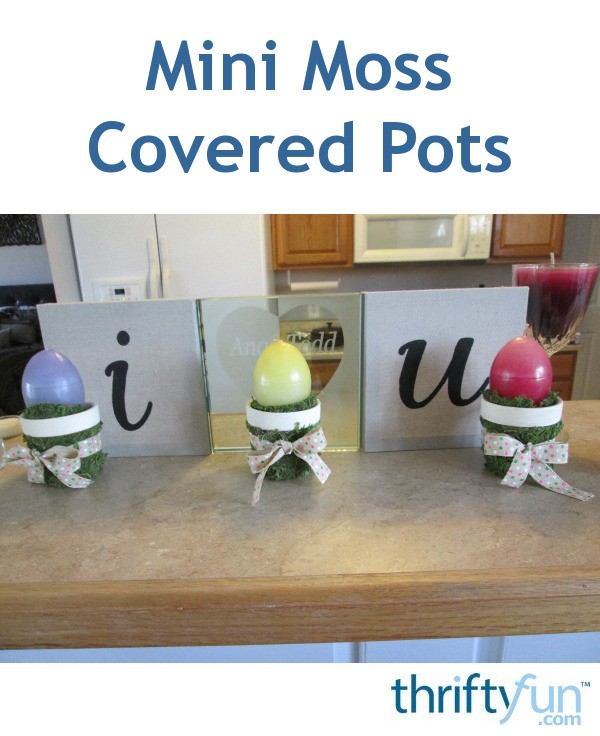 Making Mini Moss Covered Pots | ThriftyFun