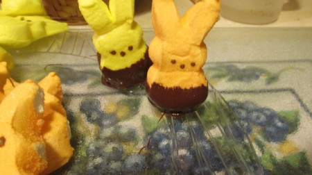 Easter Chocolate Dipped Peeps