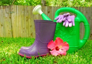 Hibiscus flower, goulashes, watering can, and gardening gloves displayed on grass with a wooden fence in the background.