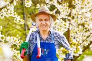 Man holding pruning sheers surrounded by cherry trees in bloom