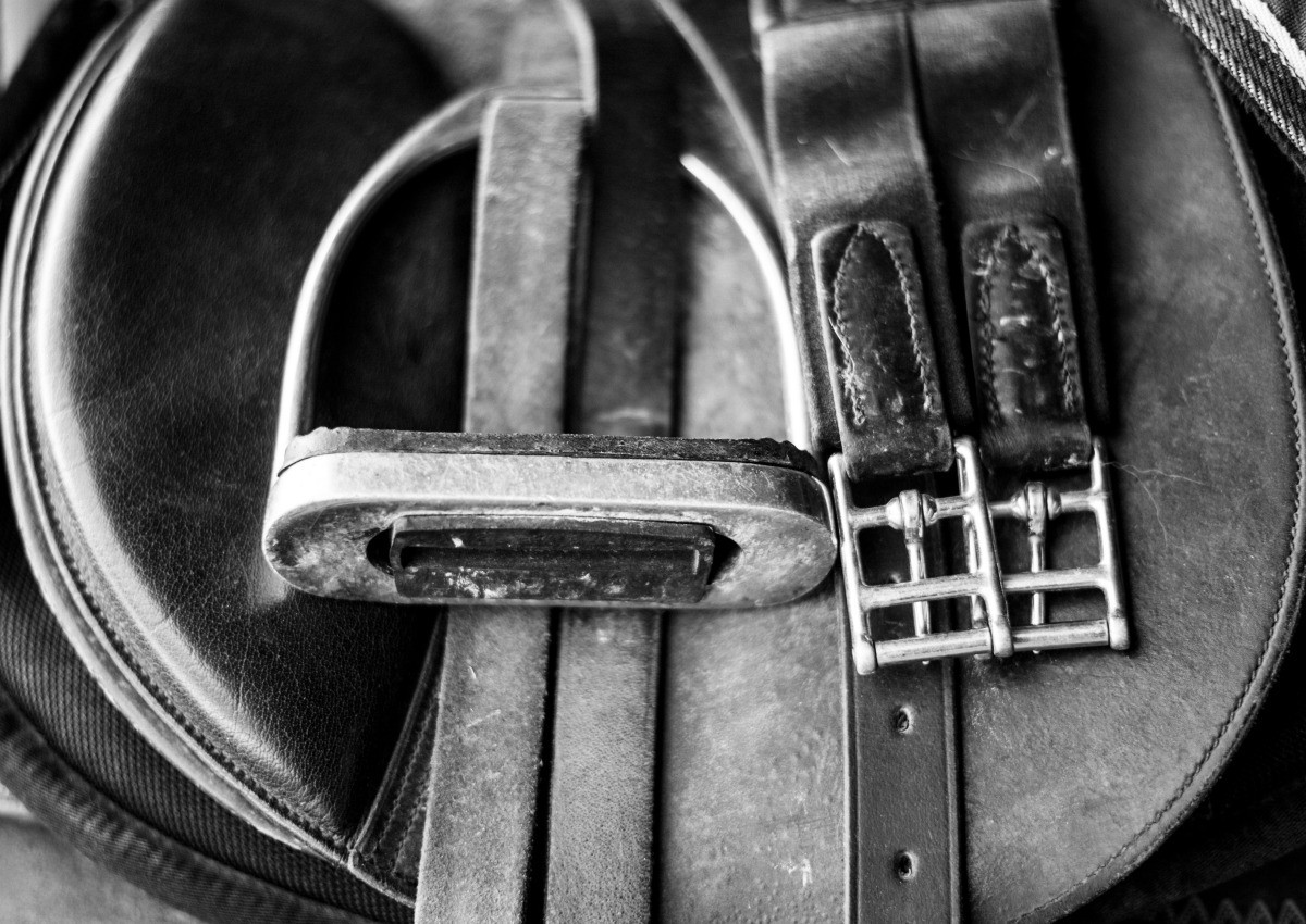 Determining the Value of Vintage Horse Tack? ThriftyFun