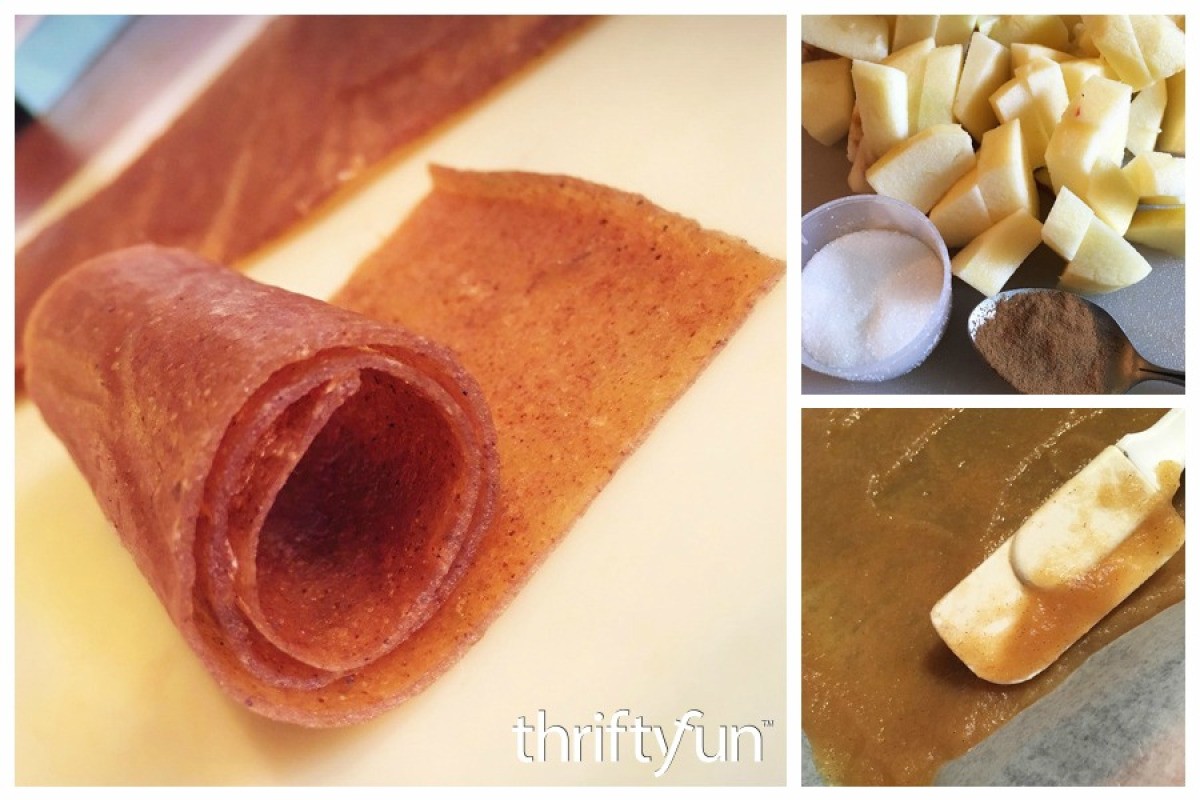 Cinnamon Apple Fruit RollUps ThriftyFun