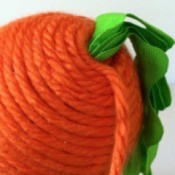 Yarn Wrapped Carrot