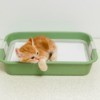 Kitten laying in a litter box with it's head resting on the edge
