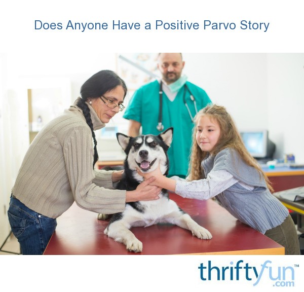 parvo survival stories