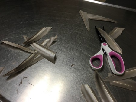 Clipping a Duck's Wings