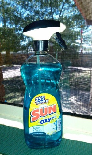 spray nozzle on dish soap container