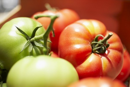 Close up of two green and two red tomatoes on basket