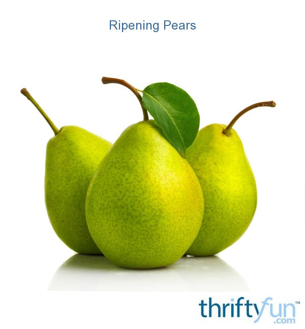 Ripening Pears | ThriftyFun