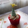 cupcake topped with paper party hat decoration