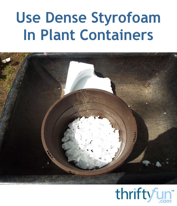 Use Dense Styrofoam In Plant Containers ThriftyFun