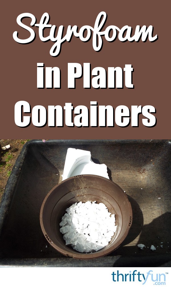 Use Dense Styrofoam In Plant Containers ThriftyFun